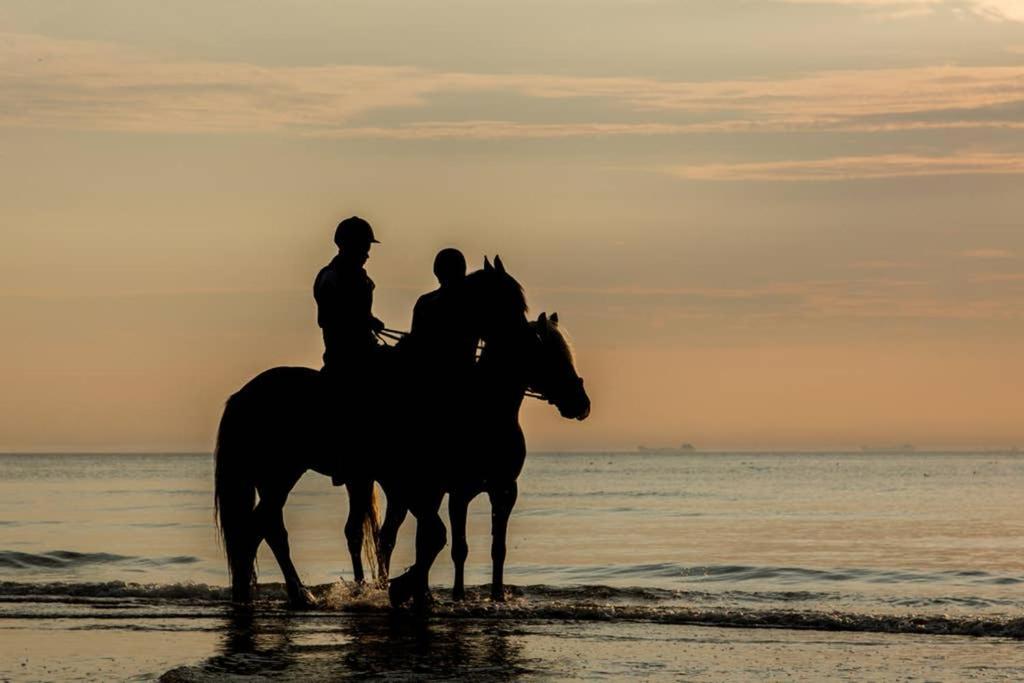 Hoekje Up Katwijk aan Zee Eksteriør billede